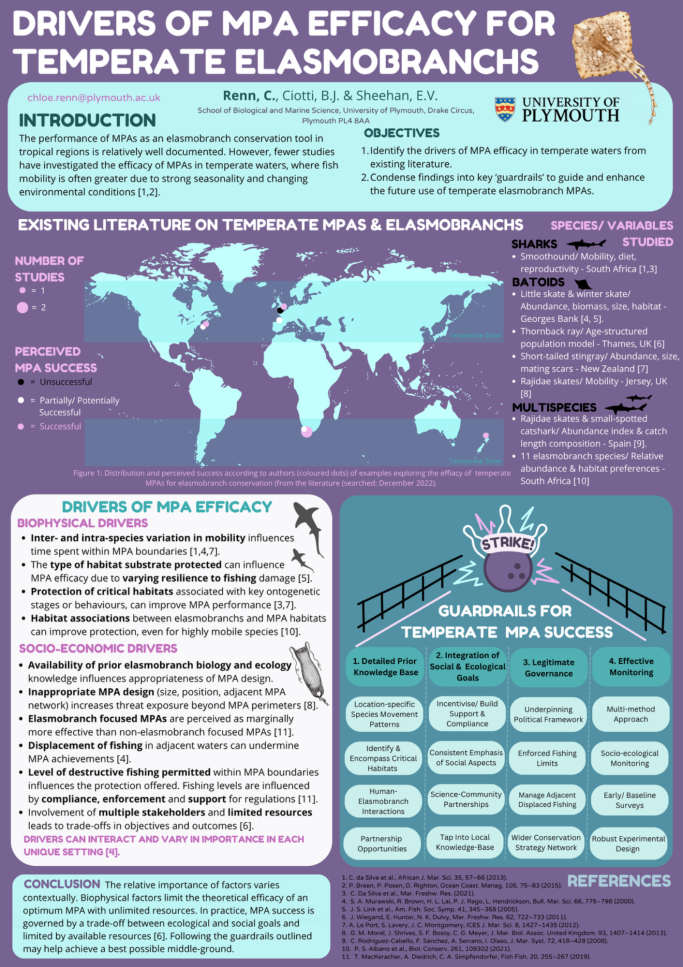Drivers of MPA efficacy for temperate elasmobranchs