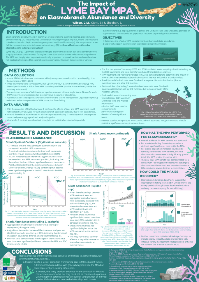 The impact of the Lyme Bay MPA on elasmobranch abundance and diversity